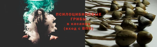 амф Краснотурьинск