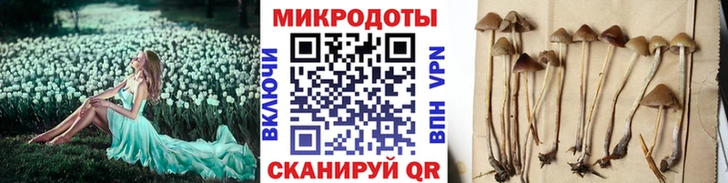 Галлюциногенные грибы прущие грибы  Купить закладки  Кохма 