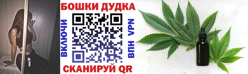 Купить закладки  Кохма  Бошки Шишки THC 21% 